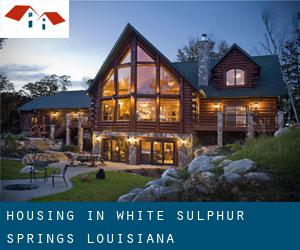 Housing in White Sulphur Springs (Louisiana)