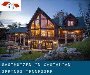 Gasthuizen in Castalian Springs (Tennessee)